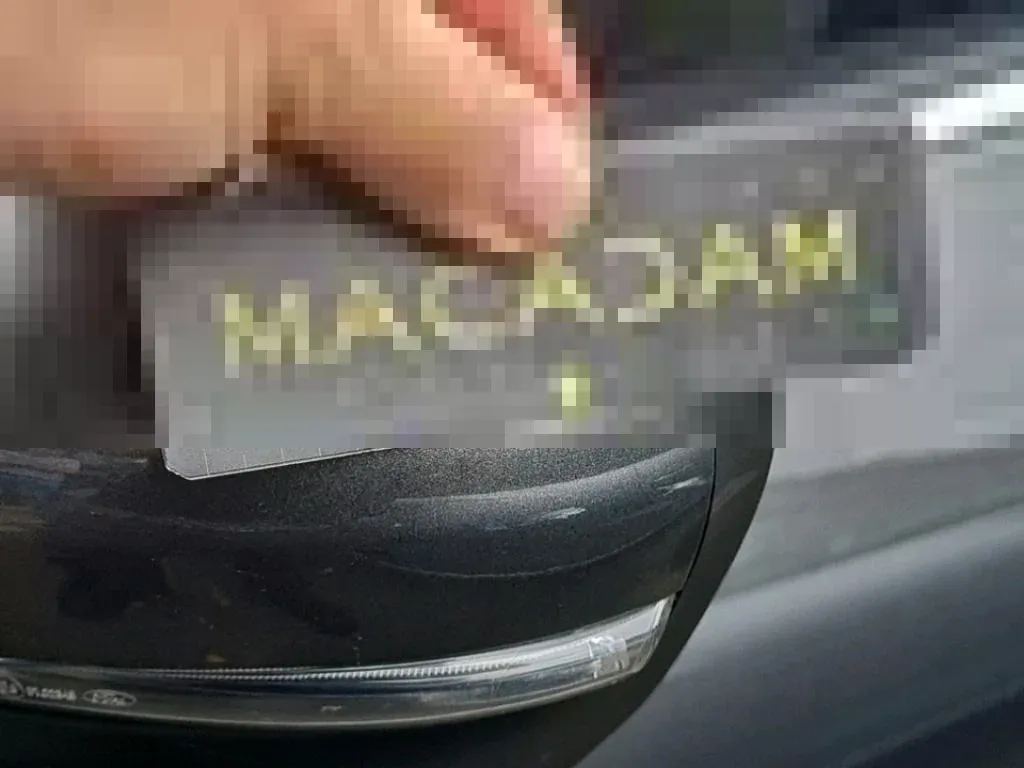 Vastgestelde schade