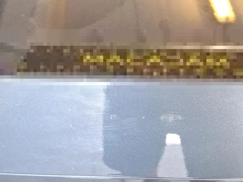 Vastgestelde schade