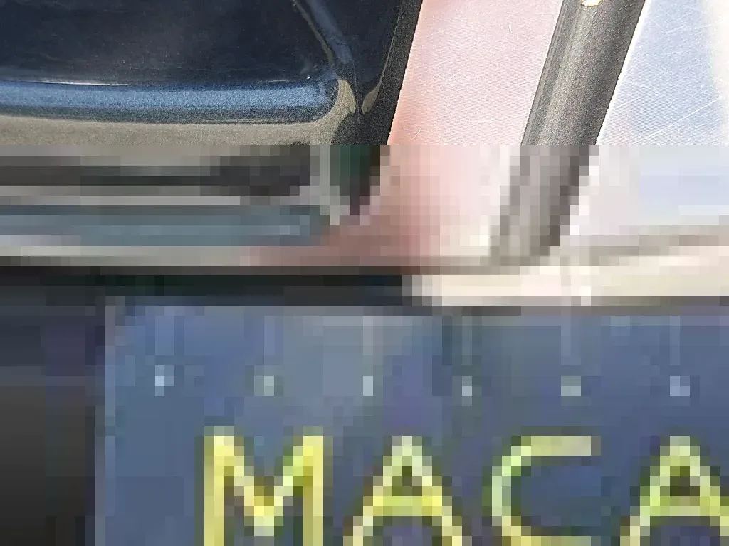Dommages constatés