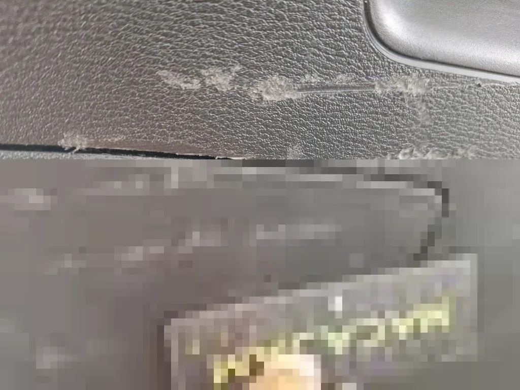 Dommages constatés