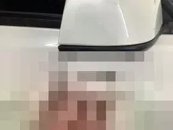 Vastgestelde schade