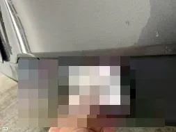 Vastgestelde schade