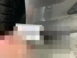 Vastgestelde schade