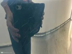 Reported damage