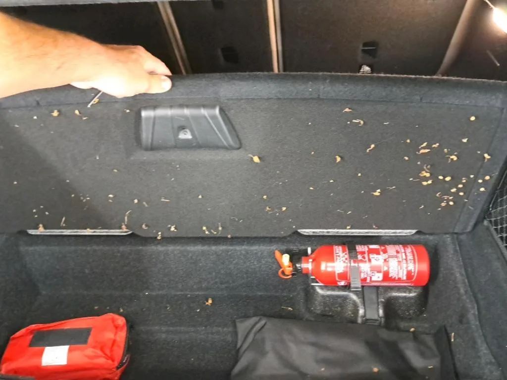 Reported damage