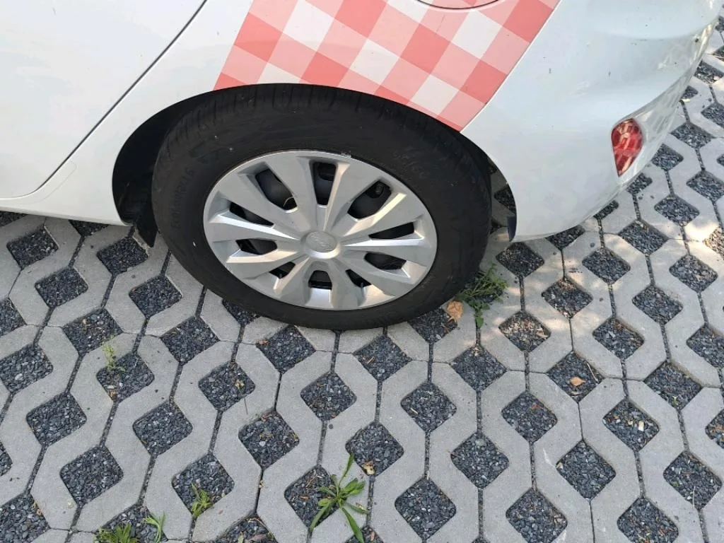 Vastgestelde schade