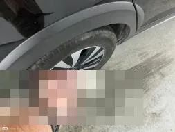Reported damage