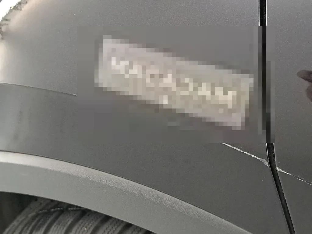 Vastgestelde schade