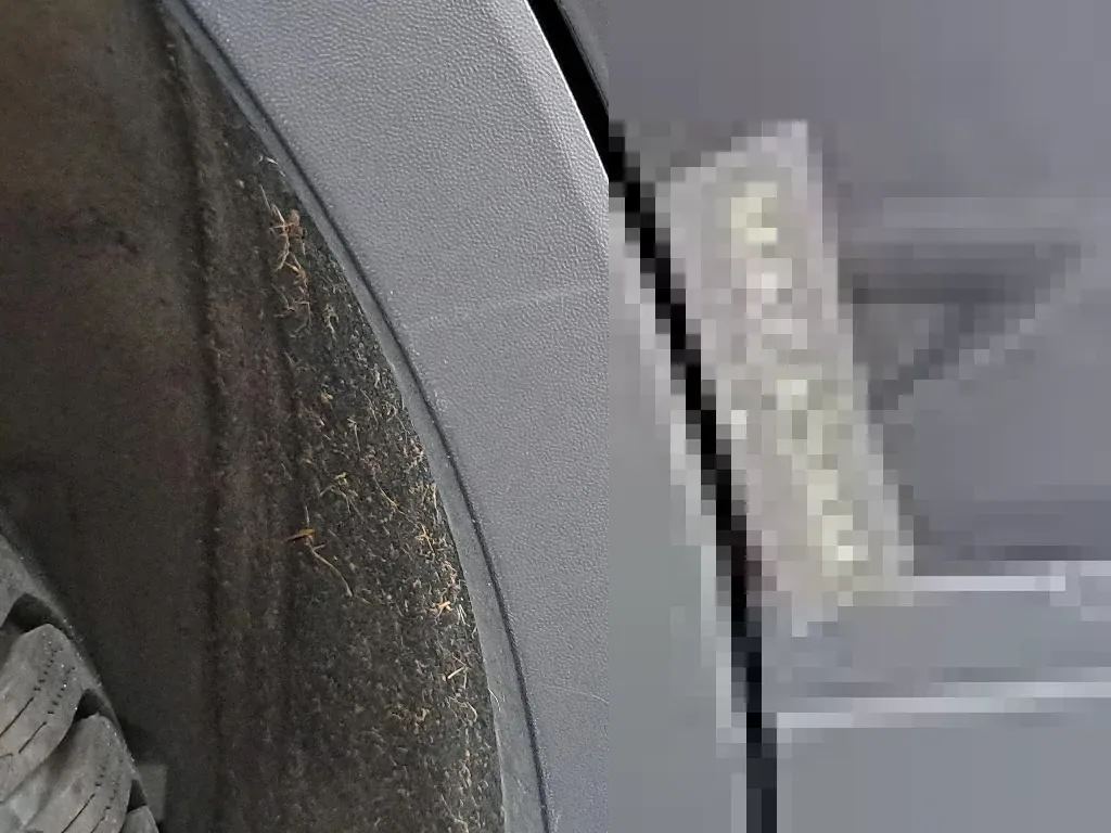 Vastgestelde schade