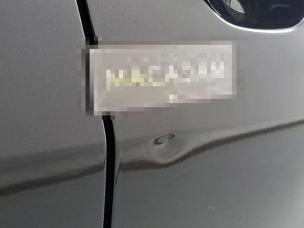 Vastgestelde schade