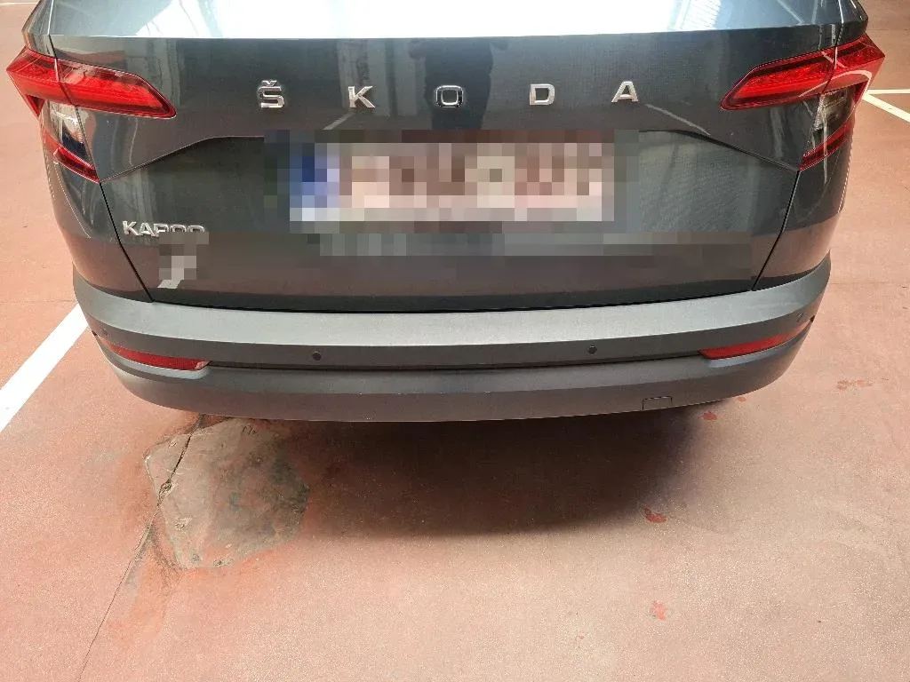 Vastgestelde schade