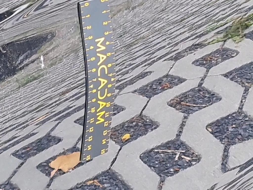 Vastgestelde schade