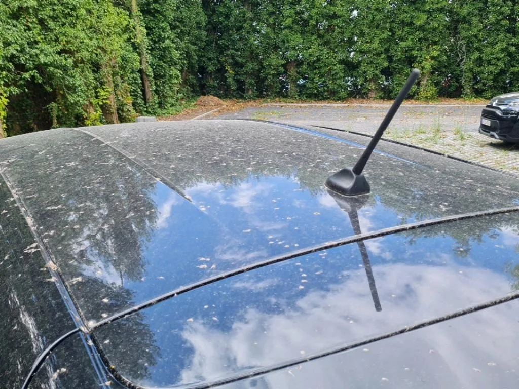 Vastgestelde schade