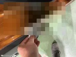 Vastgestelde schade