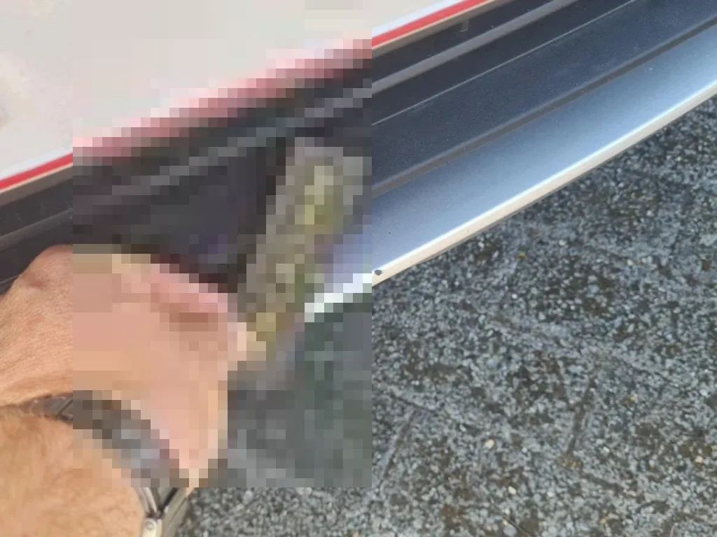 Reported damage