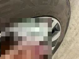 Reported damage