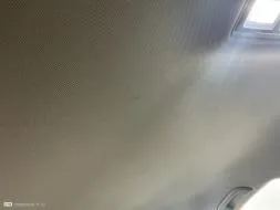 Reported damage