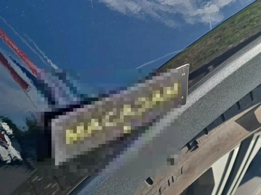 Dommages constatés