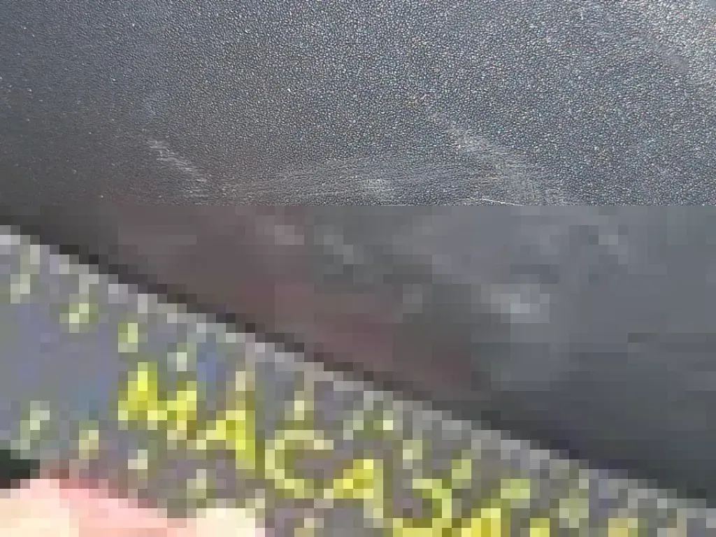 Reported damage