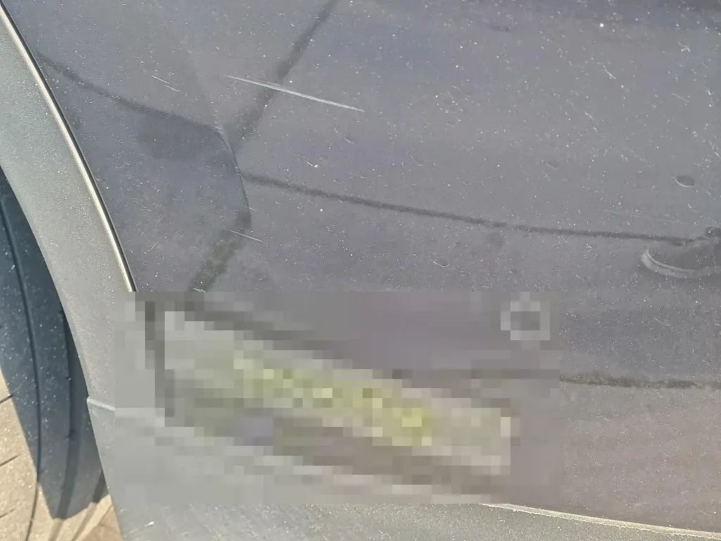 Reported damage