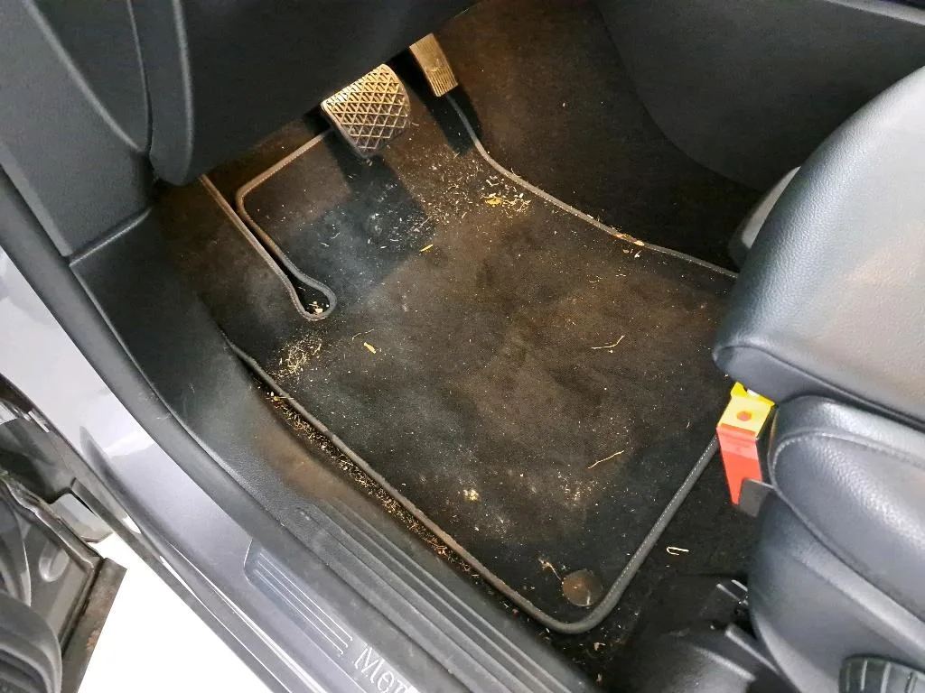 Reported damage