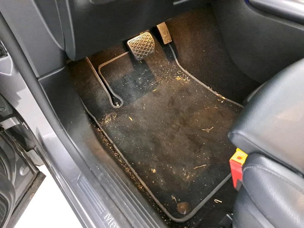 Reported damage