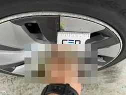 Reported damage