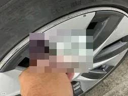 Reported damage