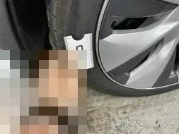 Reported damage