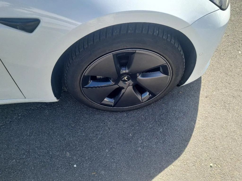 Reported damage