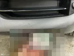 Reported damage