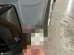 Reported damage