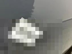Reported damage