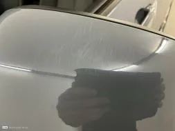 Reported damage