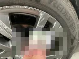 Reported damage