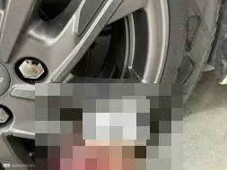Reported damage