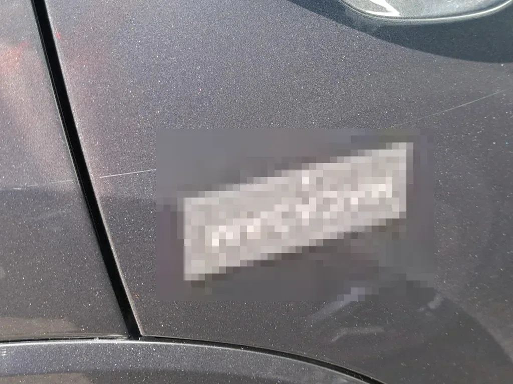 Vastgestelde schade