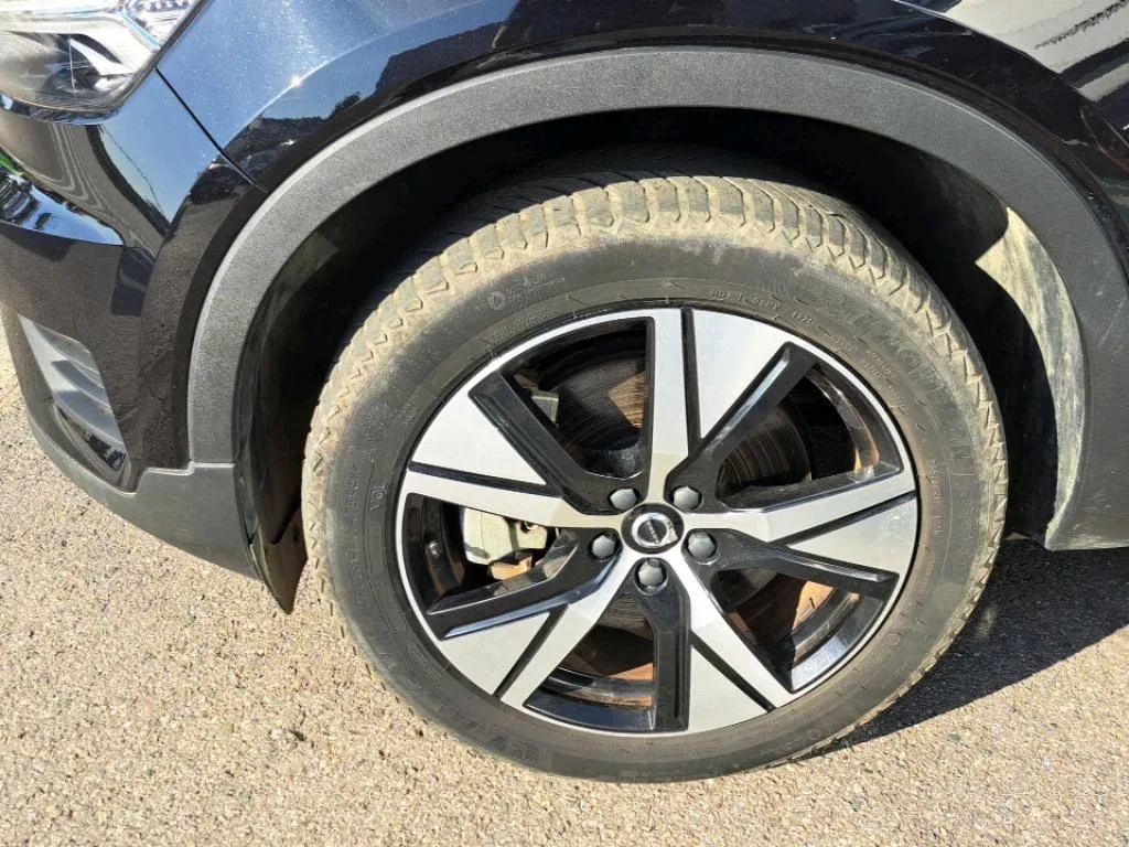 Reported damage