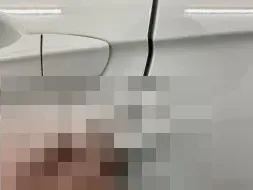 Vastgestelde schade