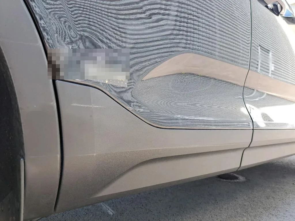 Vastgestelde schade