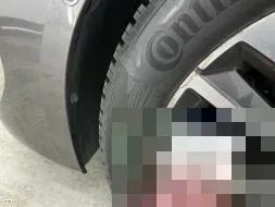 Reported damage