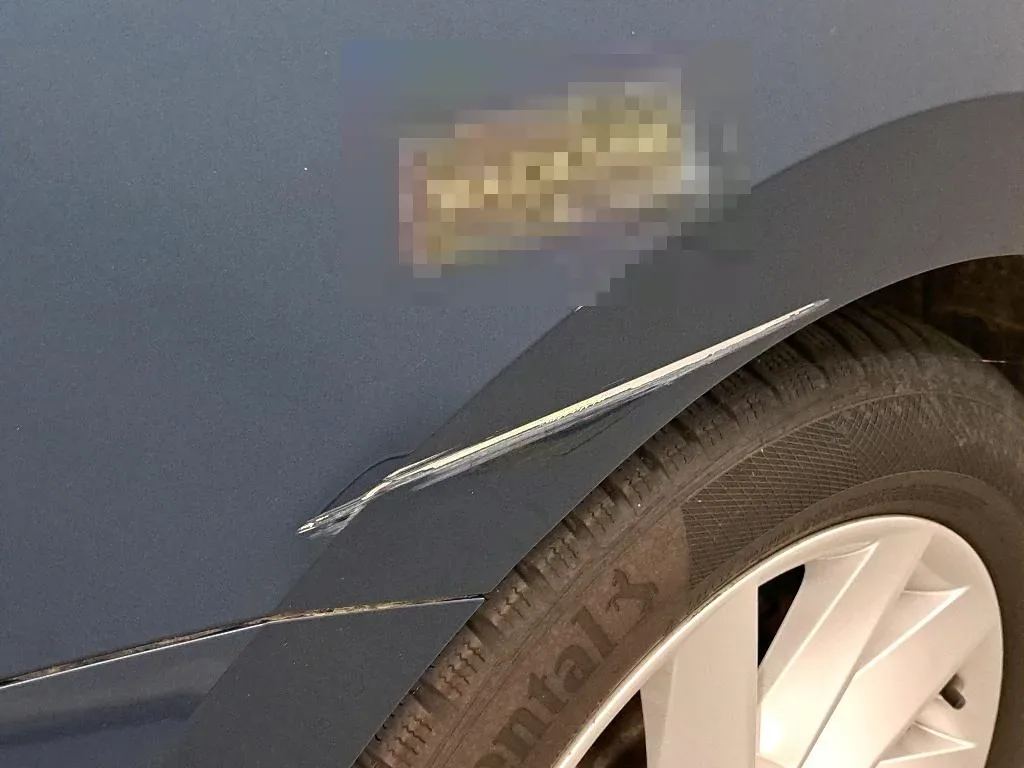 Vastgestelde schade