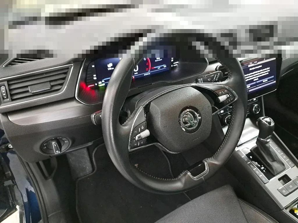 Vastgestelde schade