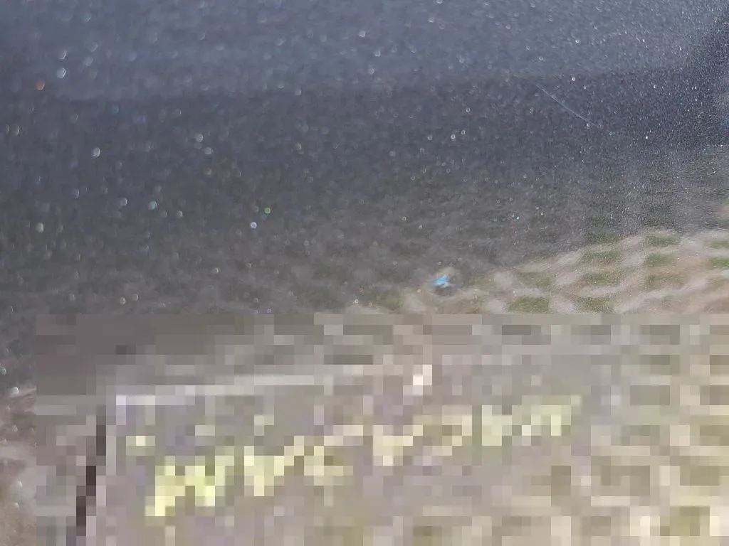 Dommages constatés