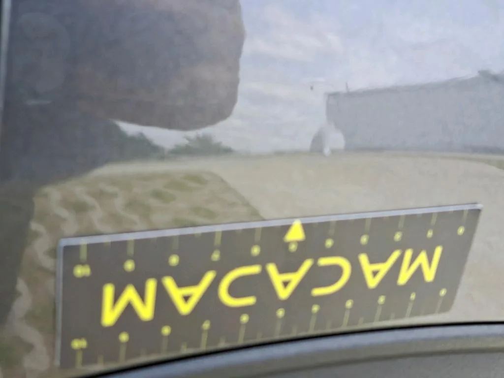 Dommages constatés