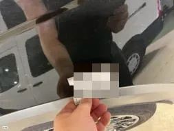 Reported damage