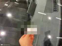 Dommages constatés