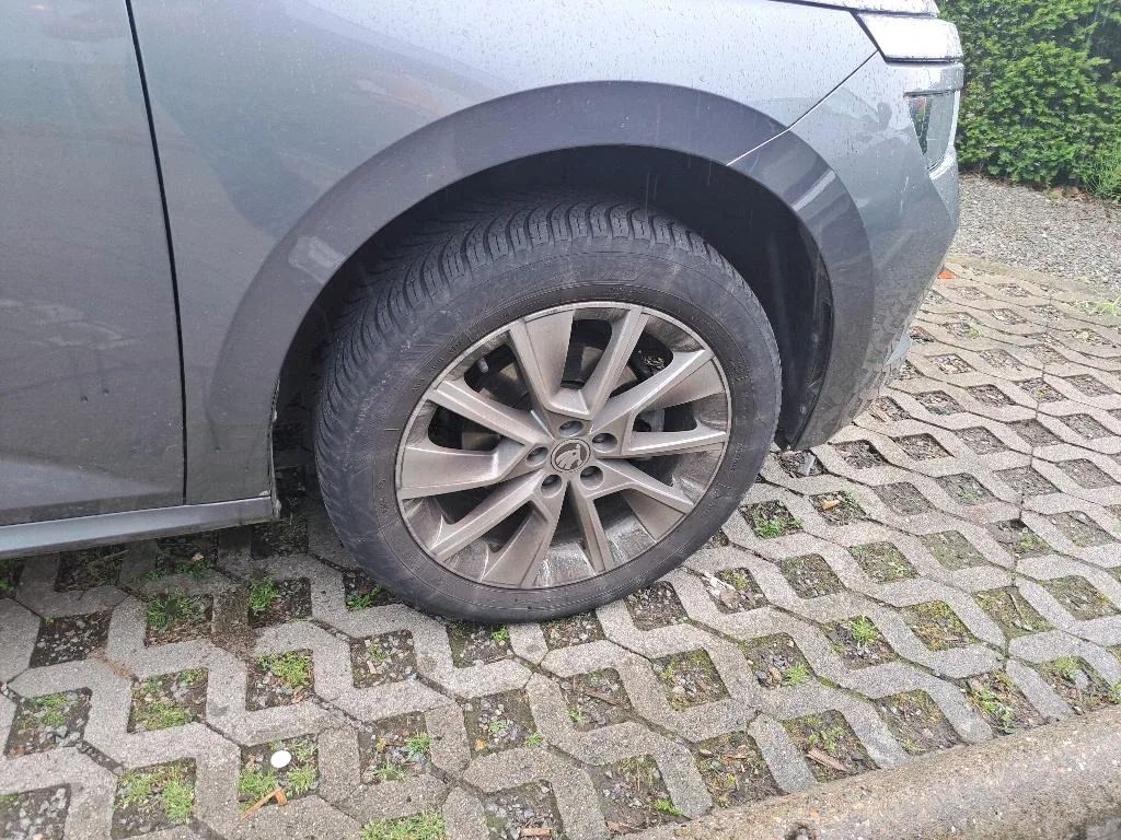Reported damage