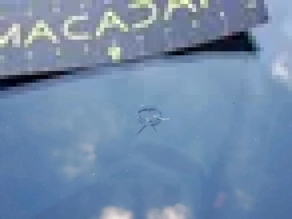 Reported damage