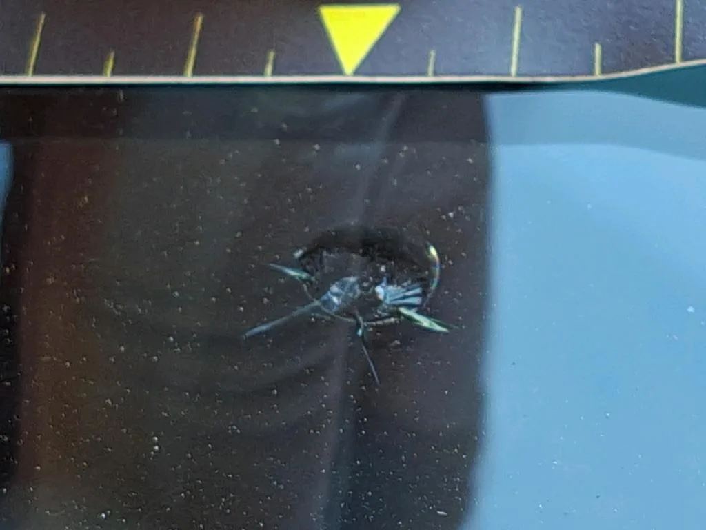 Reported damage